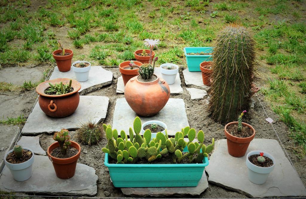 D-Gira Hostel Jujuy San Salvador de Jujuy Zewnętrze zdjęcie